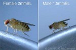 What Am I? Click to display answer!