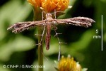 What Am I? Click to display answer!