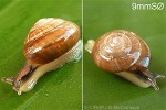 What Am I? Click to display answer!