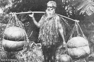 Hawaiian Water-carrier from E.S. Dodge (1978) 